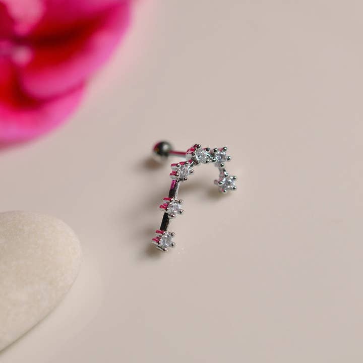 StockJWL - Wholesale Stud/Post Earrings - 12 Zodiac Earrings, Constellation Stud Earring Stud Piercing Tragus Helix Lobe and Cartilage Silver And Gold25