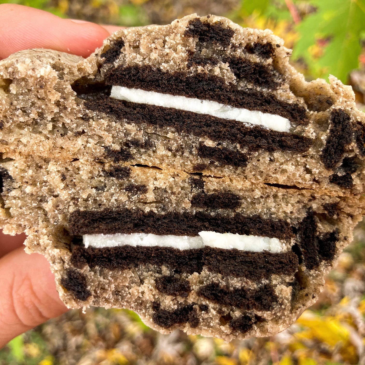 Fat T's Cookies - Wholesale Cookie - Cookie's Favorite Cookie0