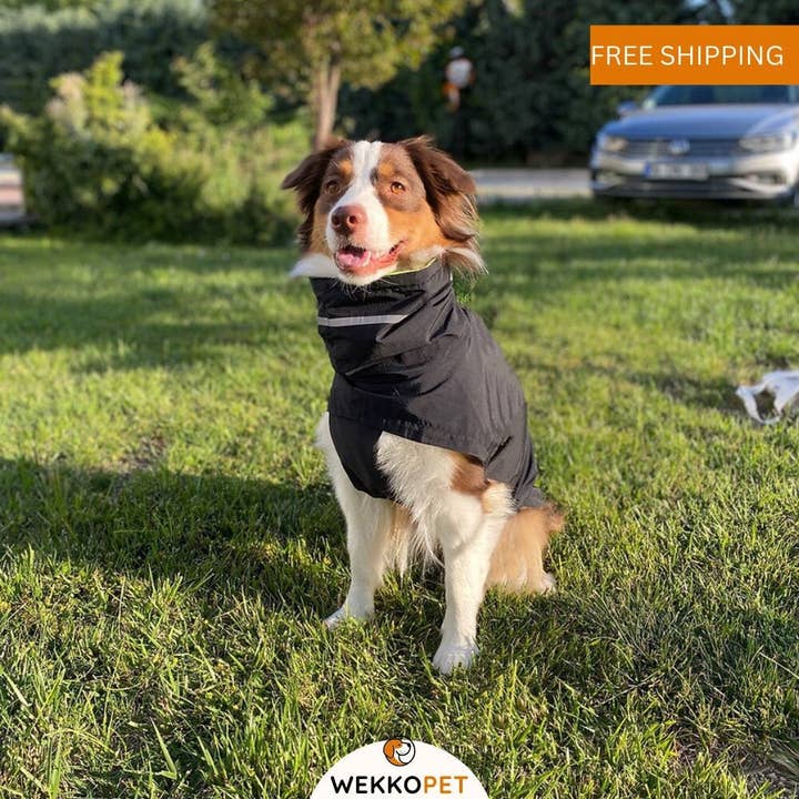 (SET OF 6) High-Quality Dog Rain Coat Perfect -Coal- Dog Lover Gift - WEKKOPET Boutique Rain Coat for wholesale by WEKKOPET