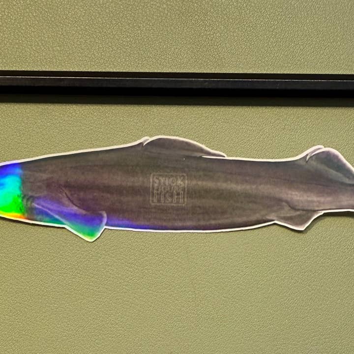 Stick Figure Fish - Wholesale Sticker - Arrowhead Dogfish Sticker17