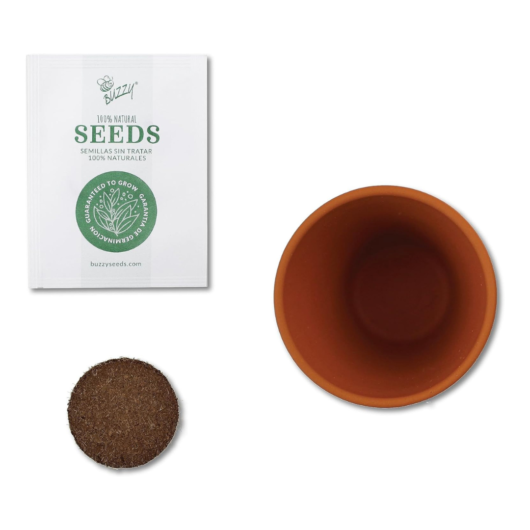 Buzzy Seeds Grow Gifts - Wholesale Plant Pot - Mini Terracotta Holiday Grow Pots – Assorted Gift Set (12pk)3