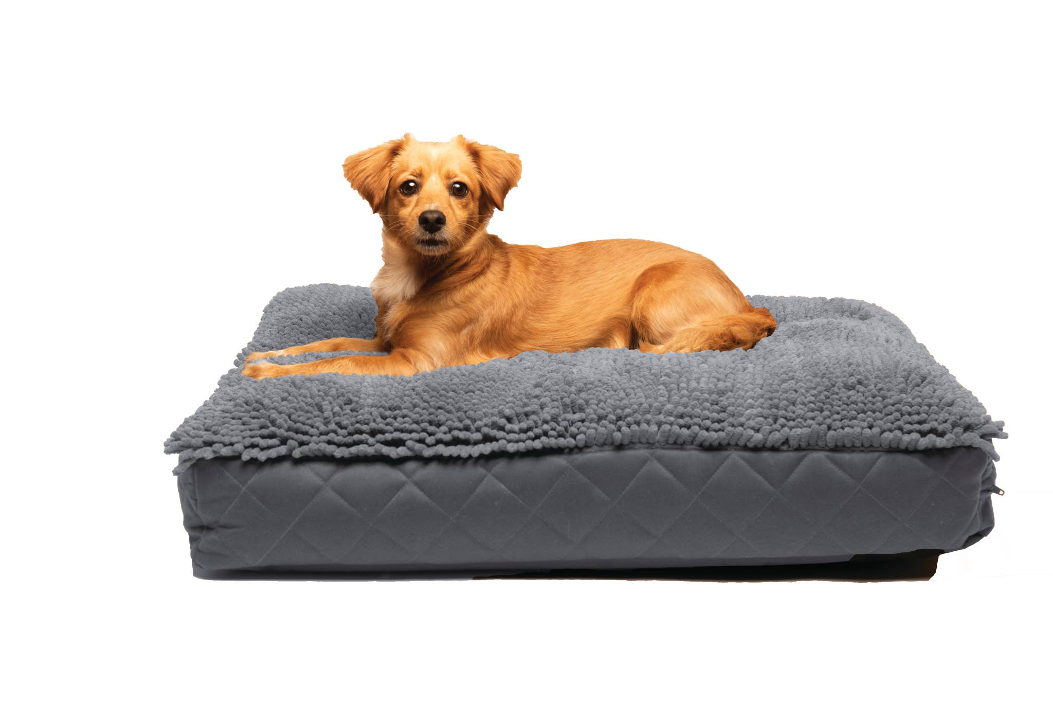 Dog Gone Smart - Wholesale Pet Bed - Dog - Dirty Dog Rectangle Bed2