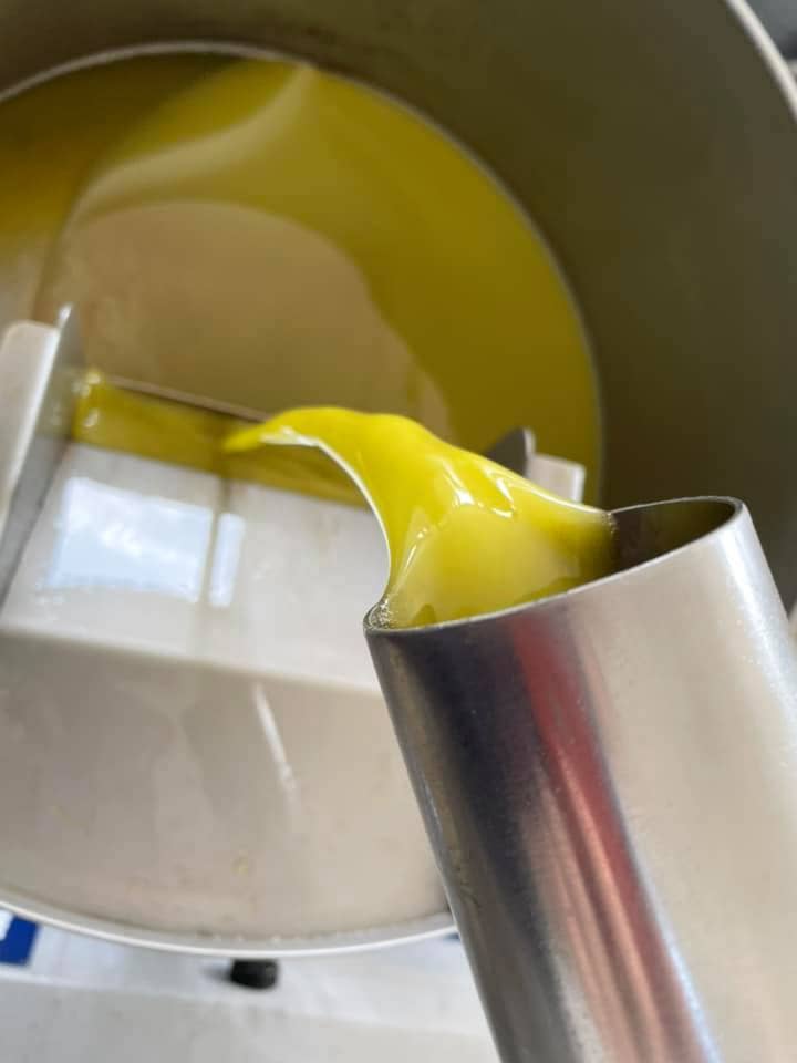 Heraia - Wholesale Olive Oil - Tunna - Extra Virgin Olive Oil - Delicate Taste5