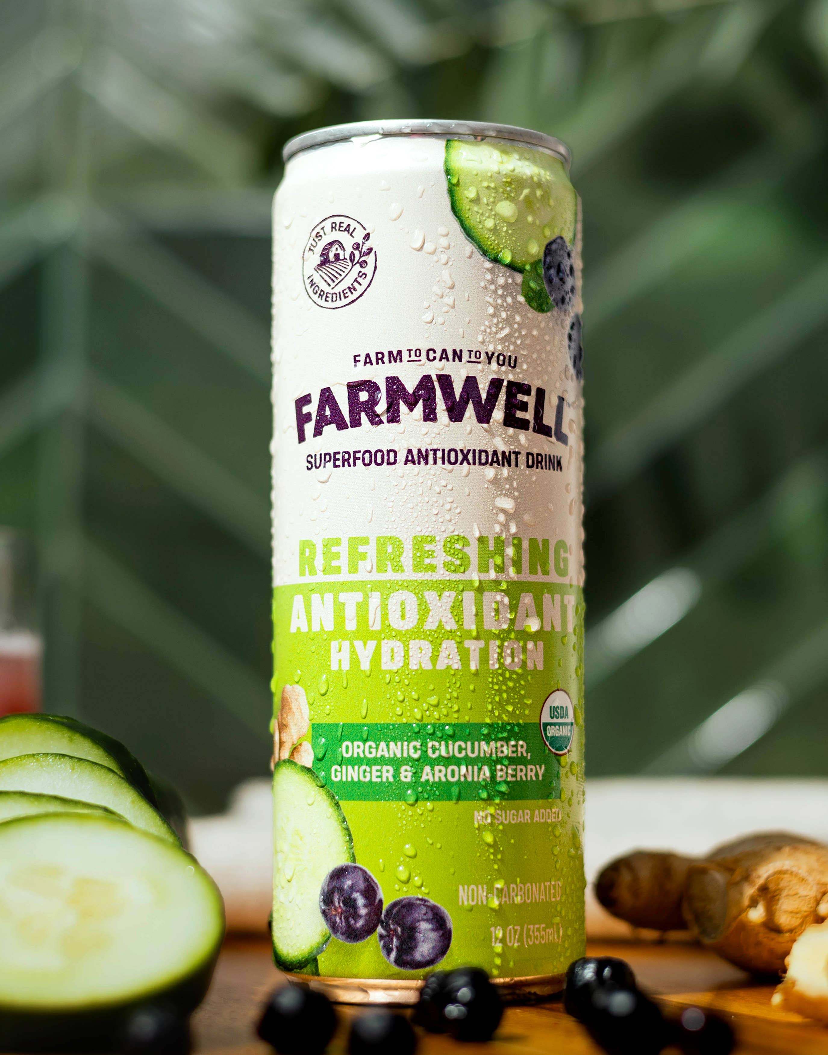 Farmwell Drinks - Wholesale Flavored/Infused Water (Non-Carbonated) - Organic Cucumber, Ginger & Aronia  - 12 Pack1