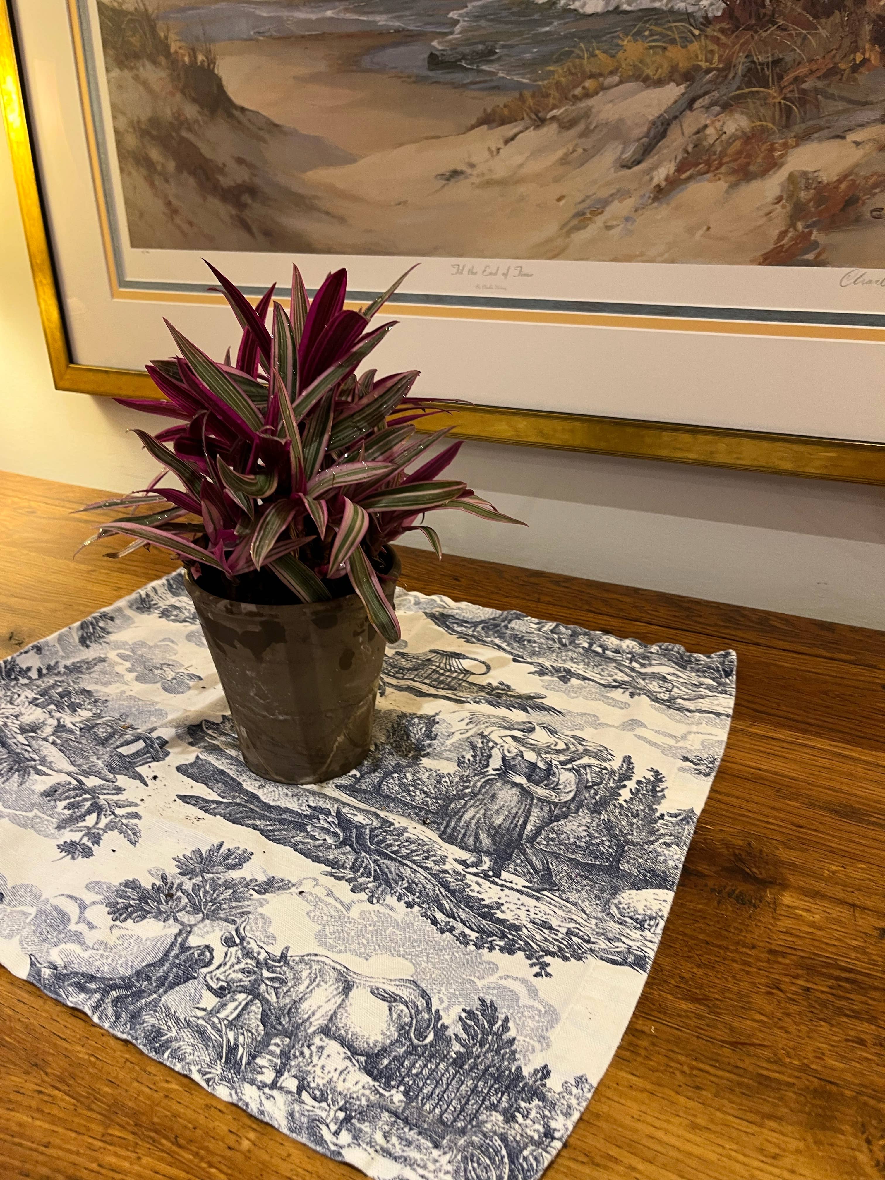 Sunrise Topiaries - Wholesale Live Plant - Live Tricolor "Moses in the Cradle" plant in 5 inch pot4