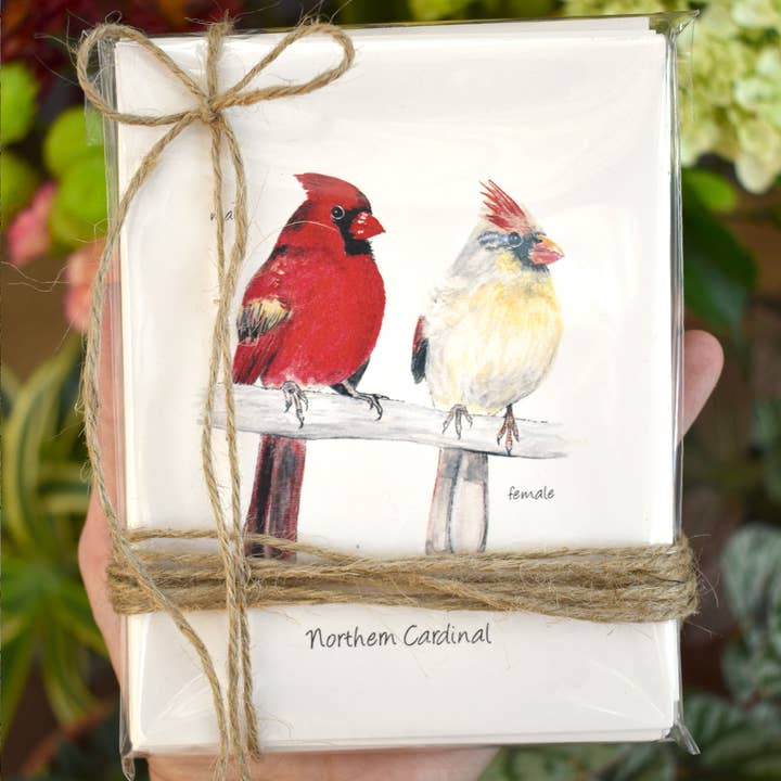 Songbird Note Cards Vol 1 for wholesale by Honey Hilliard Art