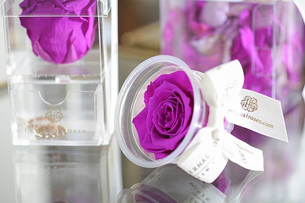 Eternal Roses® - Wholesale Party Favor - Eternal Rose Party Favors49