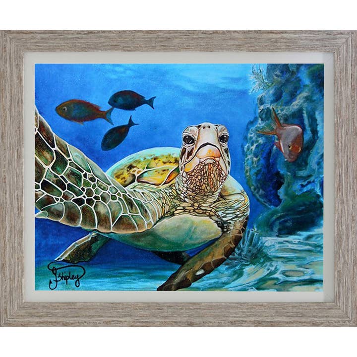 13036 per la vendita all'ingrosso da parte di Coastline Art