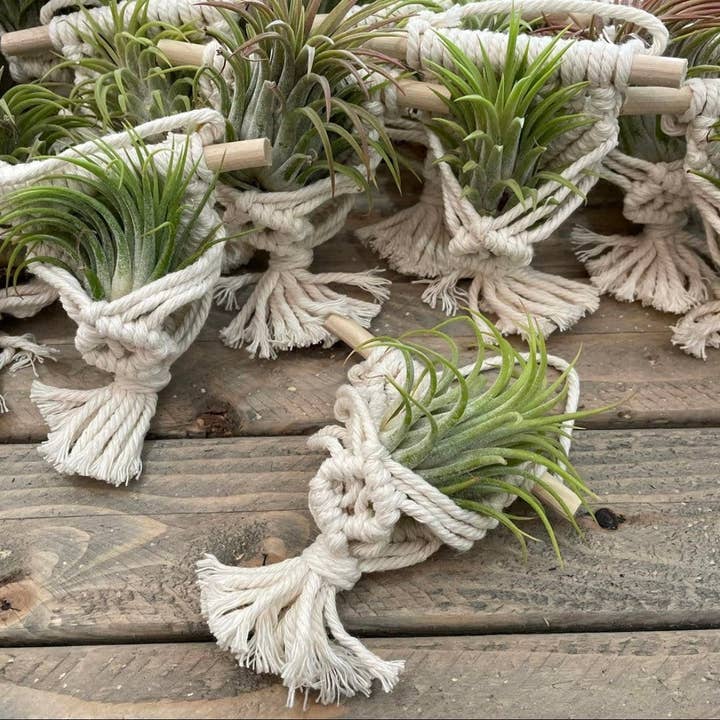 Knotty Mama Studios - Wholesale Hanging Planter - Macrame Large Air Plant Hanger2