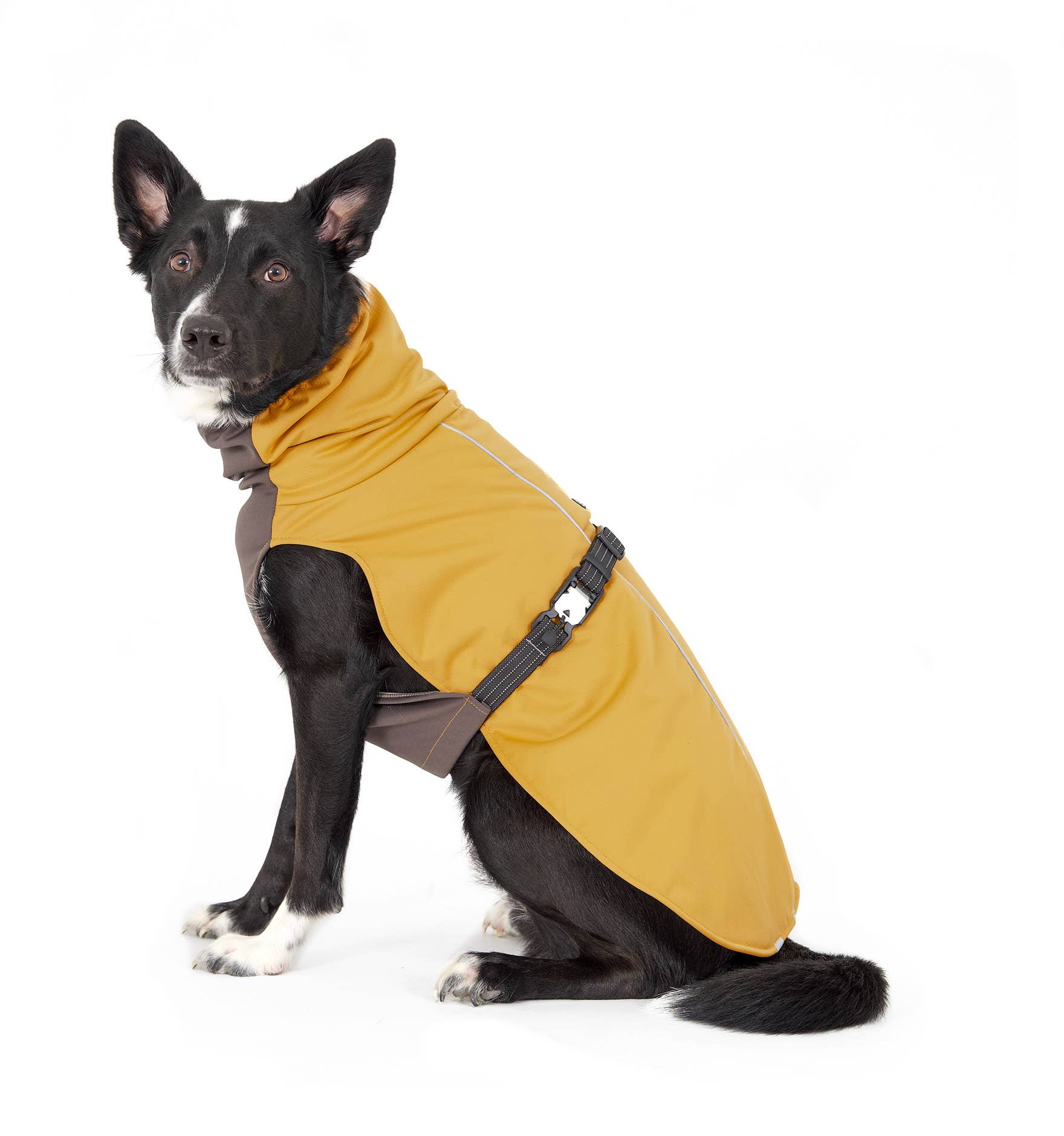 Gold Paw Series - Wholesale Pet Coat - Dog - WinterPaw0