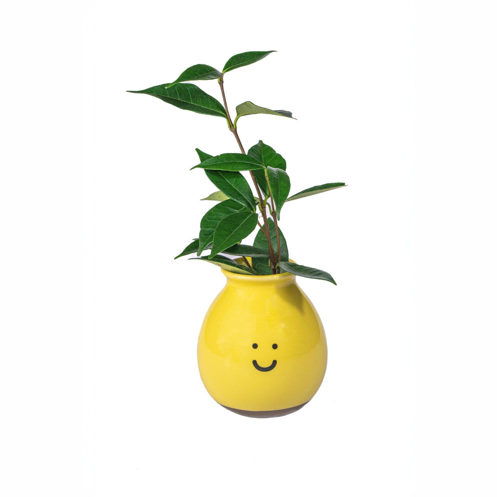 Sass & Belle Europe - Wholesale Vase - Happy Vase
1