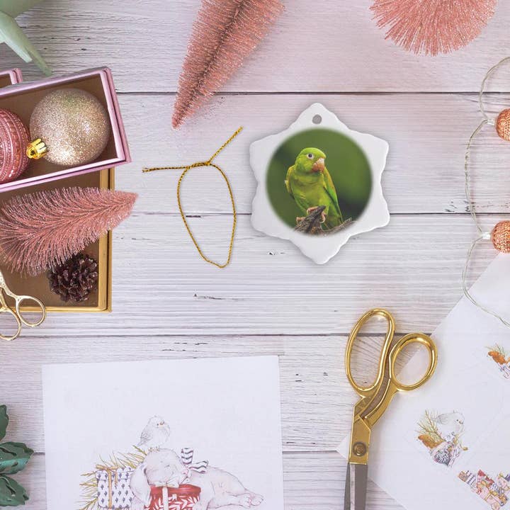 3dRose - Wholesale Ornament - 3dRose, Costa Rica. Orange-chinned parakeet close-up., Ornament12