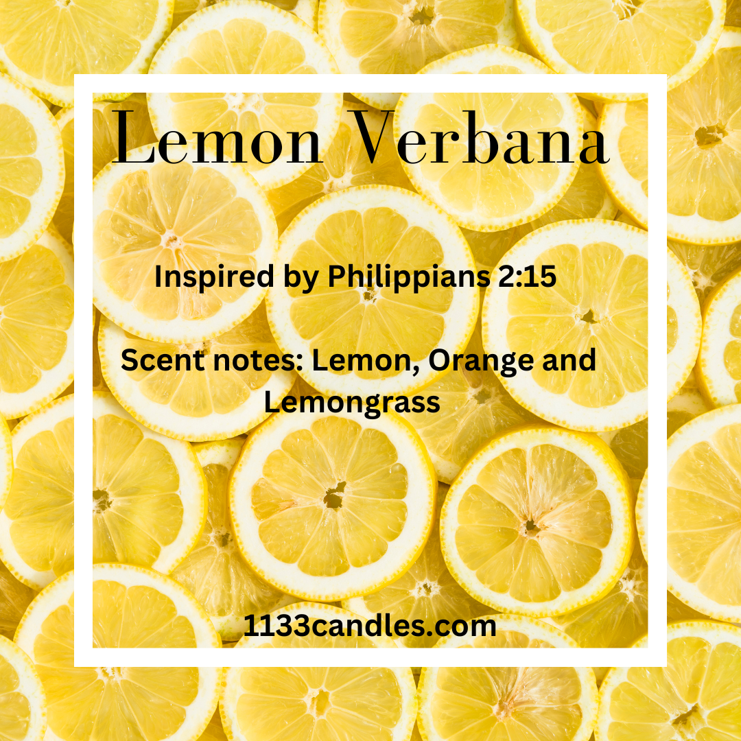 1133 Candles - Wholesale Travel Candles - 4oz Soy Candle Tins - Unlabeled - Custom Candles - Brandless4