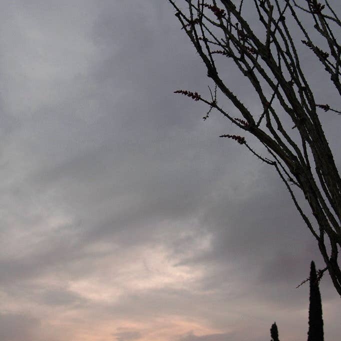 Ocotillo #6 Traduire cette bd pour la vente par Ann Woodall Studios