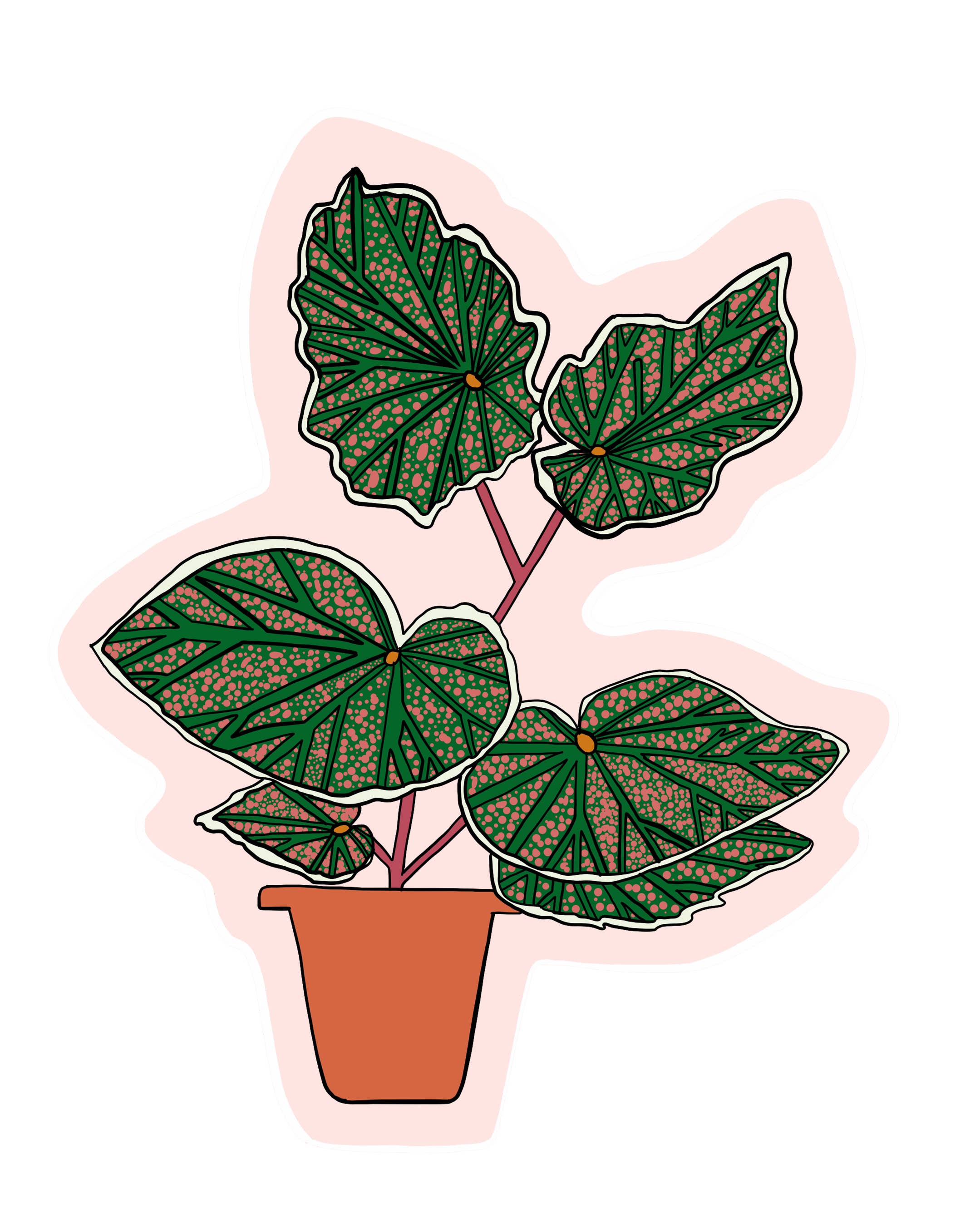 Made by Nilina - Vente Autocollant - Autocollant vinyle plante d'intérieur - Bégonia, plante de caoutchouc Ficus3