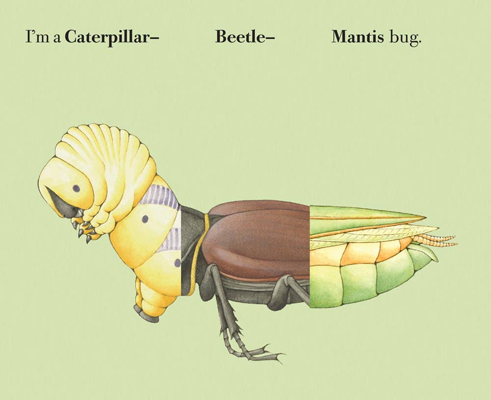 W. W. Norton - Wholesale Coloring & Activity Book - Kids & Baby - Build-A-Bug6