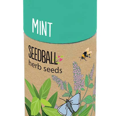 Seedball – wholesale Plant seeds – Herb Seedball Tubes - Mixed Box7