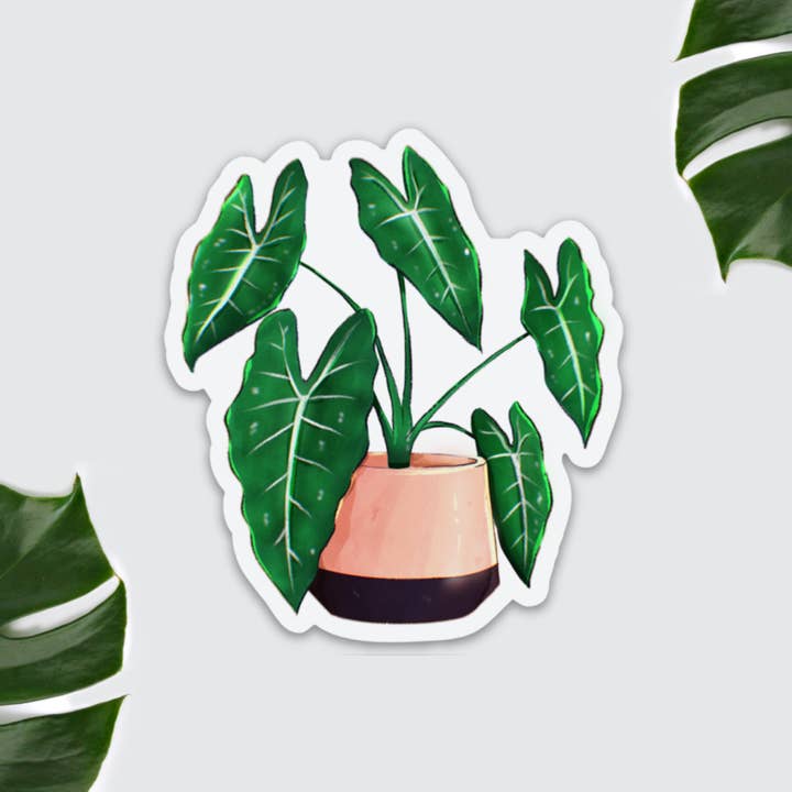 plantyintroverts - Wholesale Magnet - magnet - Alocasia Frydek3