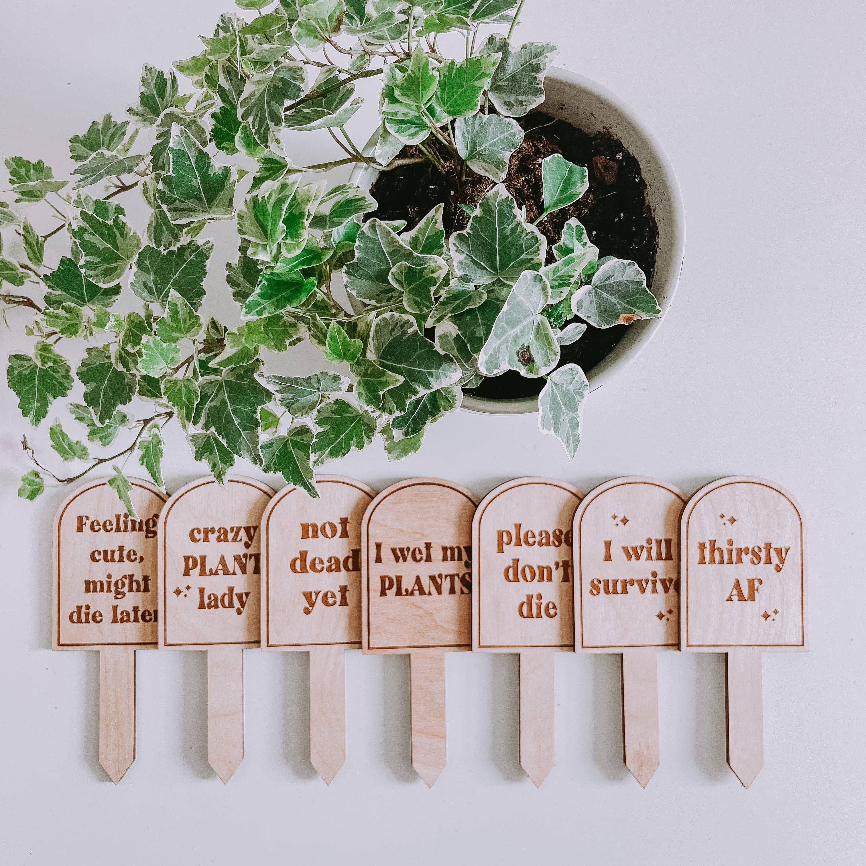 Wholesale Funny Plant Markers, Funny Plant Stakes for your store