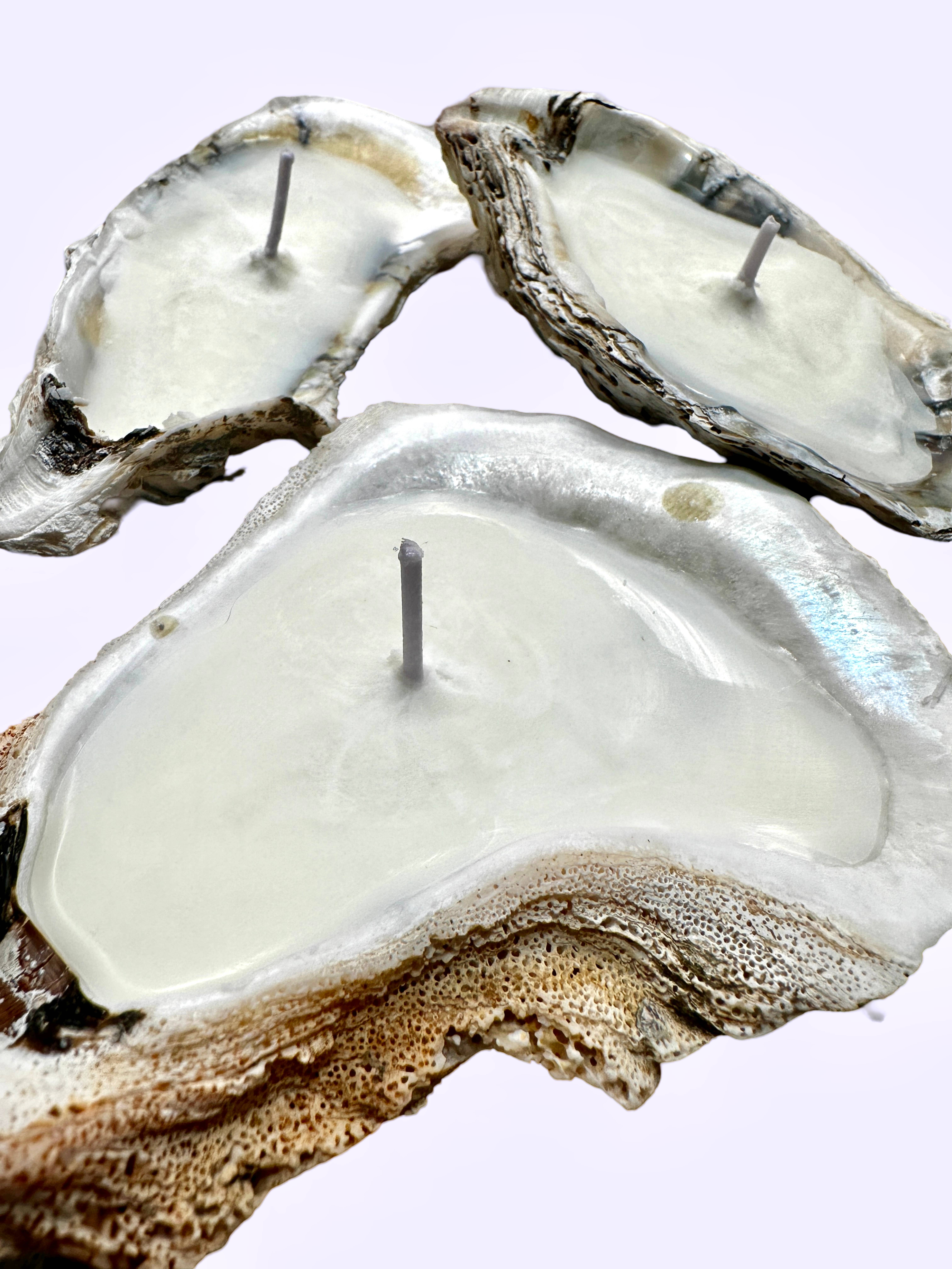 Martini Candle Co. - Vente Bougies originales - Bougie Coquille d'Huître Parfumée Originale Fait Main en Cire d'Abeille et Soja1