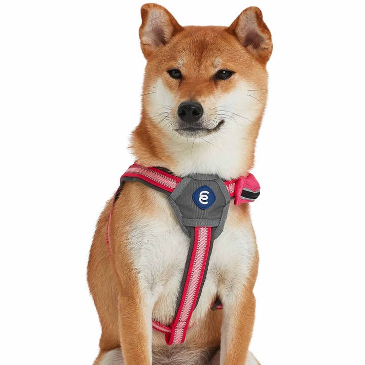 Blueberry Pet - Wholesale Pet Harness - Dog - Better Basics Reflective Dog Harness with Treat Pocket