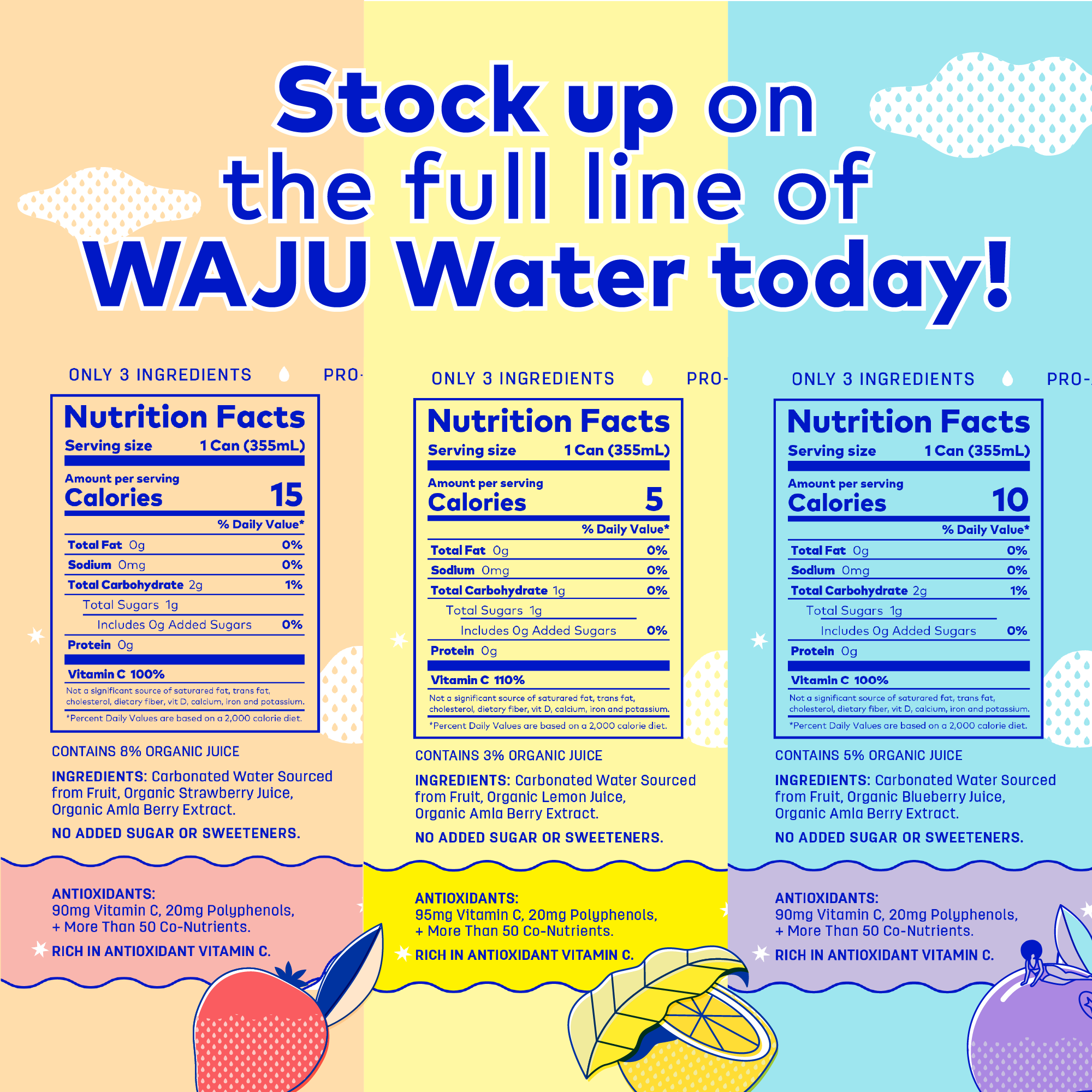 WAJU Water - Wholesale Sparkling Water - Strawberry Water from Fruit | Sparkling Water | Antioxidants5