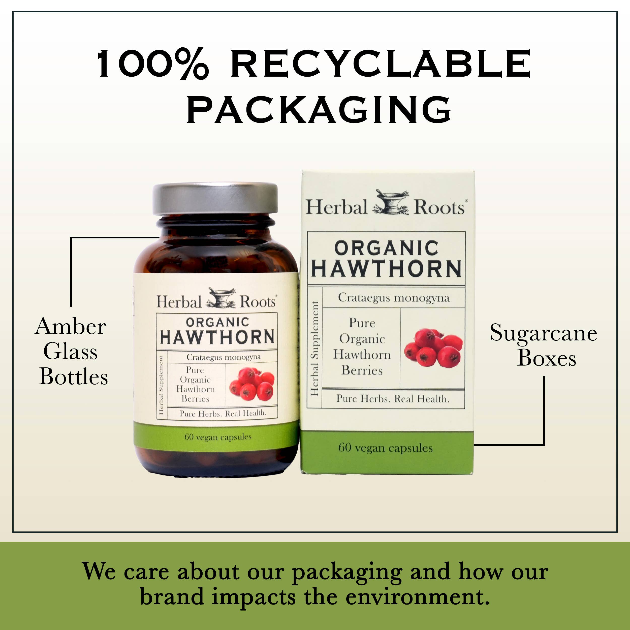 Herbal Roots - Wholesale Oral Supplement/Vitamin - Herbal Roots Organic Hawthorn Berry Capsules4