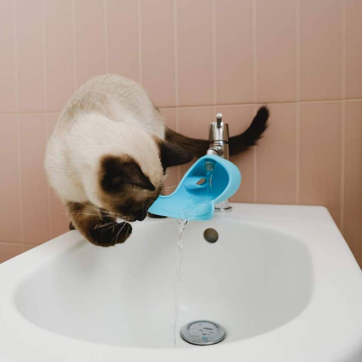 United Pets - Vente Gamelle – chat et chien - Robinet universel en silicone pour chats