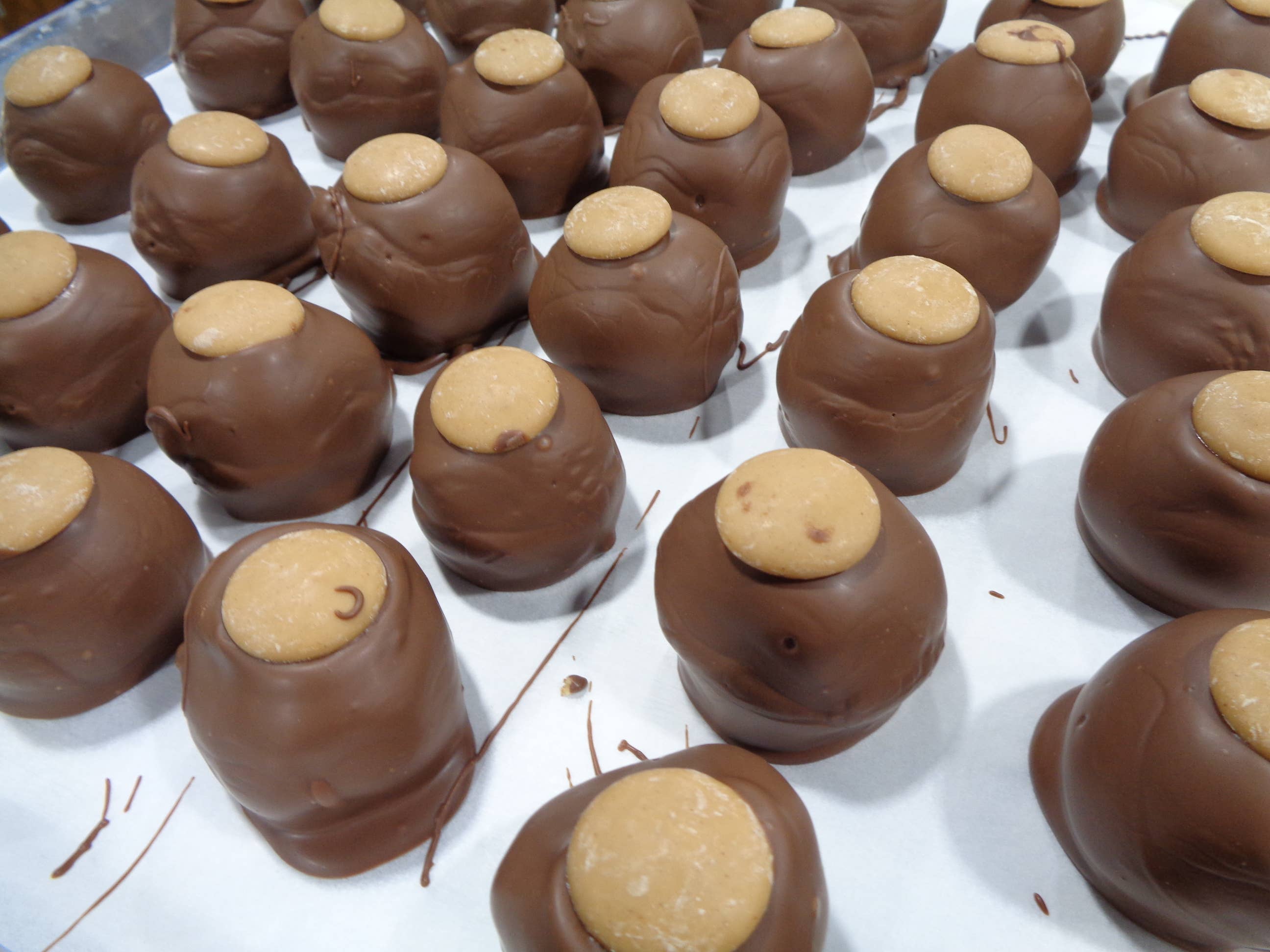 Bear Creek Candy Kitchen – wholesale Chocolate-covered sweets – Over sized Chocolate Buckeyes Milk Chocolate Box of 123