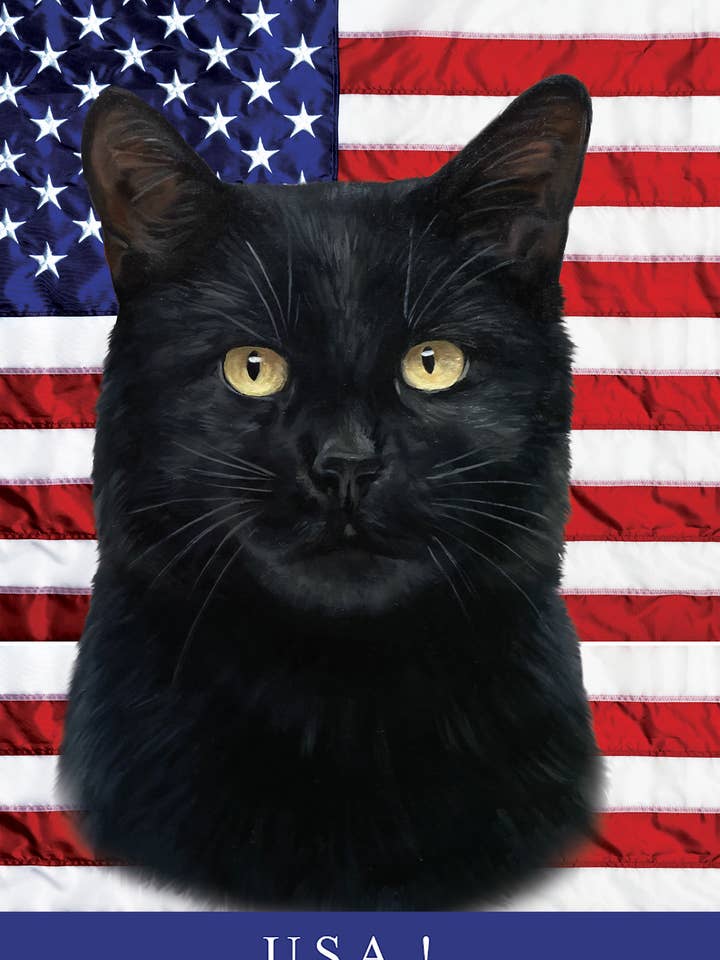 Kurzhaarige schwarze Katze — beste Kochschürzen ihrer Art für den Großhandel von Best of Breed Products