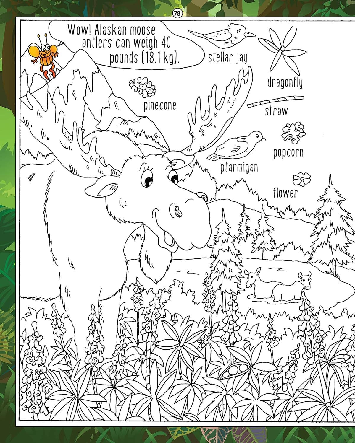 Fox Chapel Publishing - Wholesale Puzzle - Kids - Hidden Picture Puzzles - In the Forest - Seek & Find Puzzles3