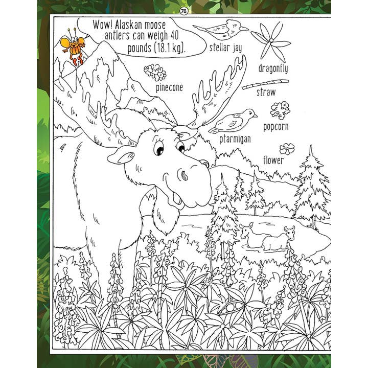 Fox Chapel Publishing - Wholesale Puzzle - Kids - Hidden Picture Puzzles - In the Forest - Seek & Find Puzzles3