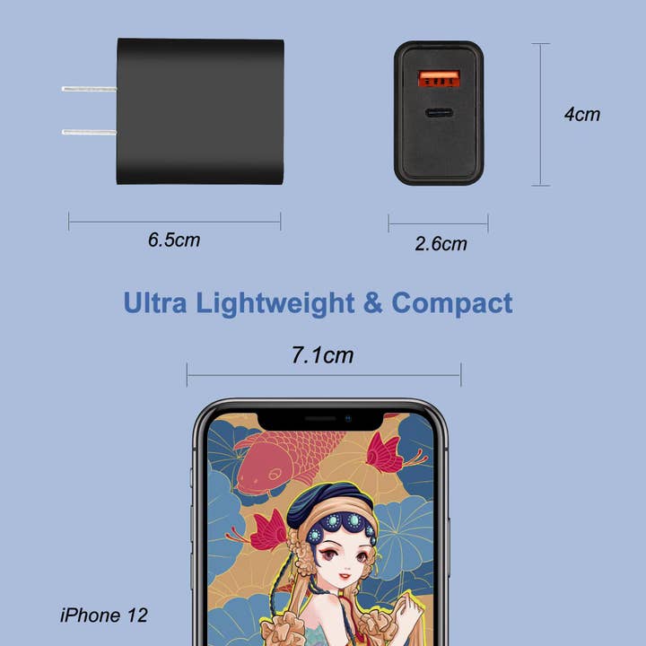 LAX Gadgets - Wholesale Portable Charger - LAX Gadgets Dual USB Wall Charger – Fast Charging Adapter21