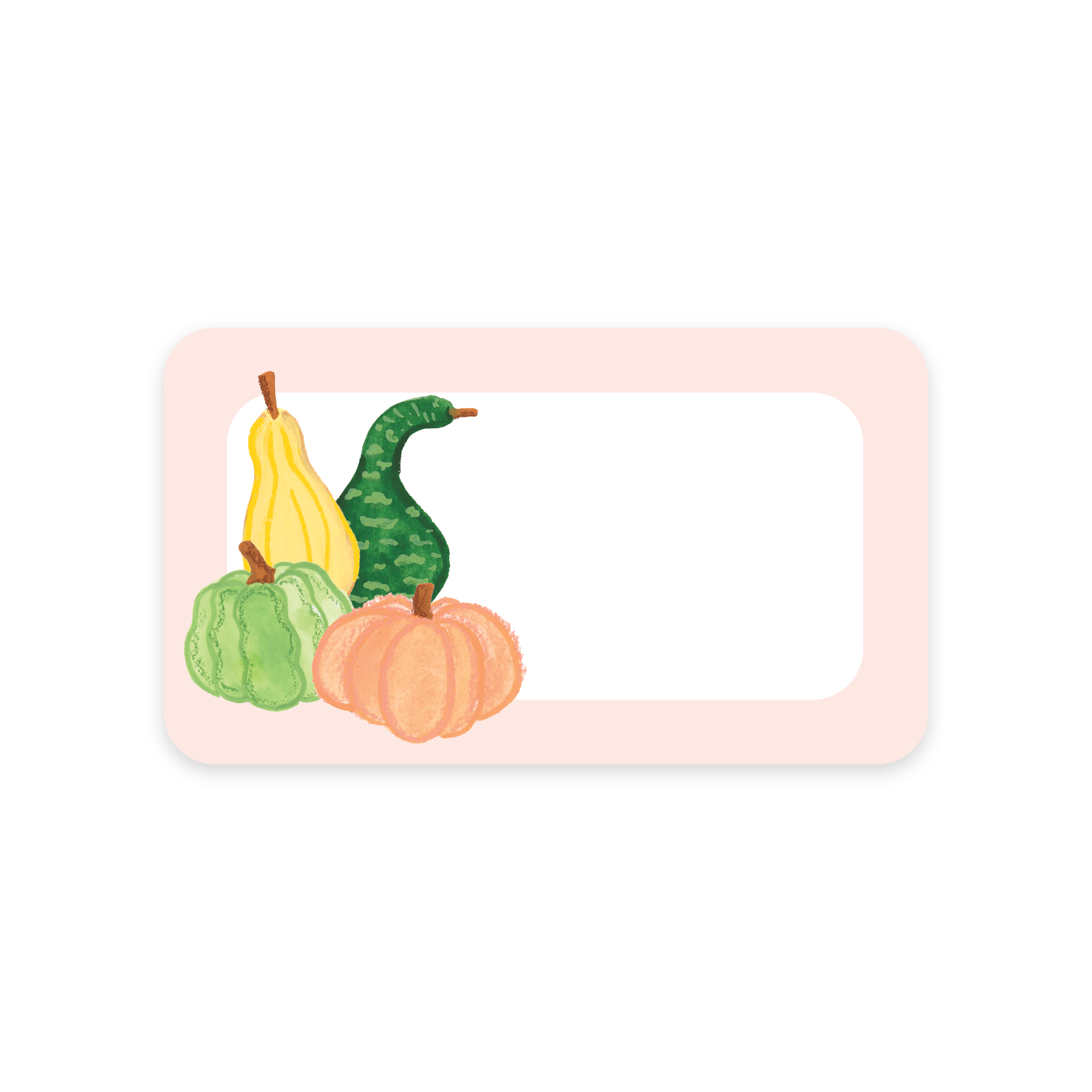 Isabella MG - Wholesale Stationery/Notecard Set - Gourds Notitas - Mini Notes1