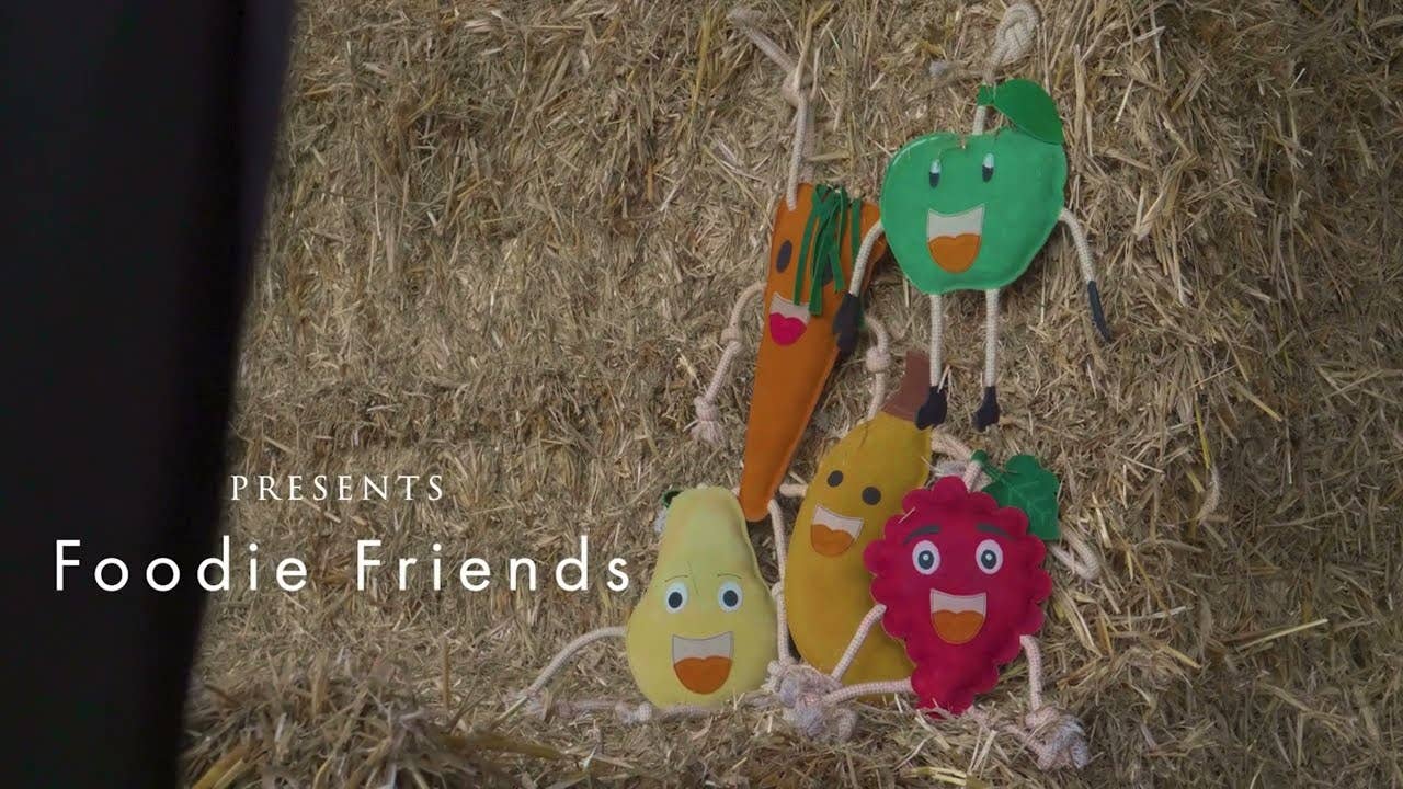 Hofman Animal Care – Engroshandel Legetøj - Hund – Fremragende Hestemad Venner Kirsebær1