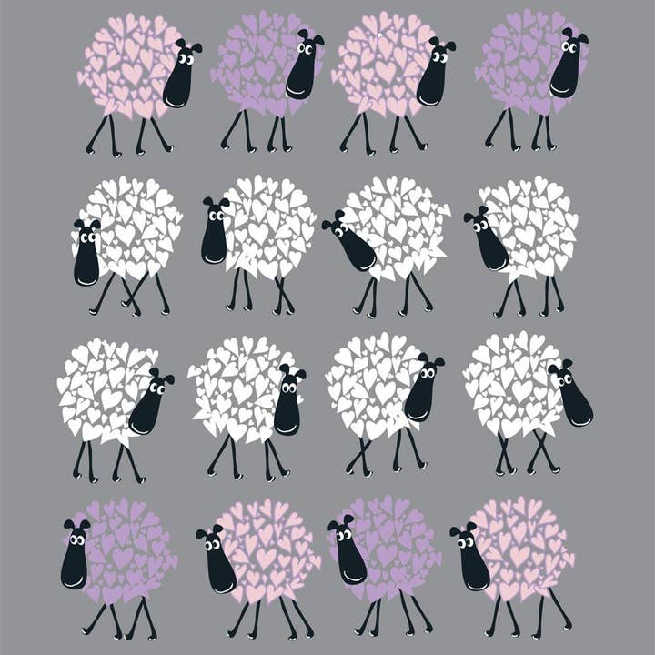 Lamb Chops for wholesale by Sophie Morrell