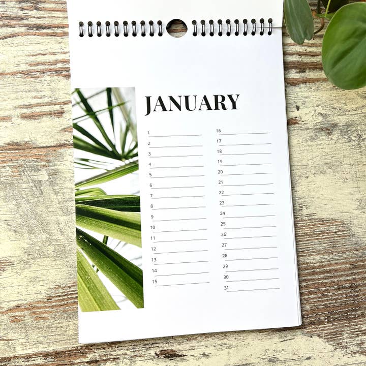 plantyintroverts - Wholesale Calendar - A4 Botanical Monstera Perpetual Birthday Calendar2