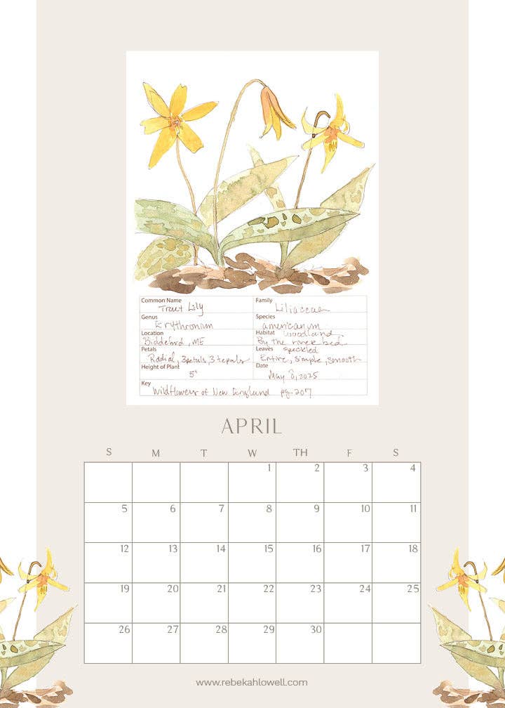 Rebekah Lowell Creative Studio - Wholesale Calendar - 2026 Wildflower Wall Calendar4