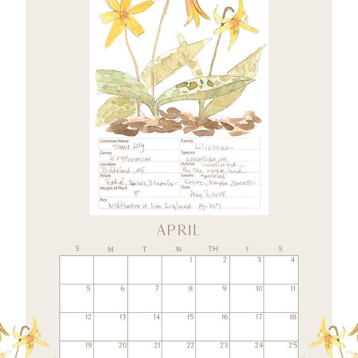 Rebekah Lowell Creative Studio - Wholesale Calendar - 2026 Wildflower Wall Calendar4