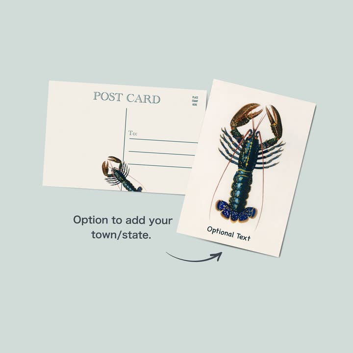 Lobster post card | coastal post card for wholesale by Simply Northern