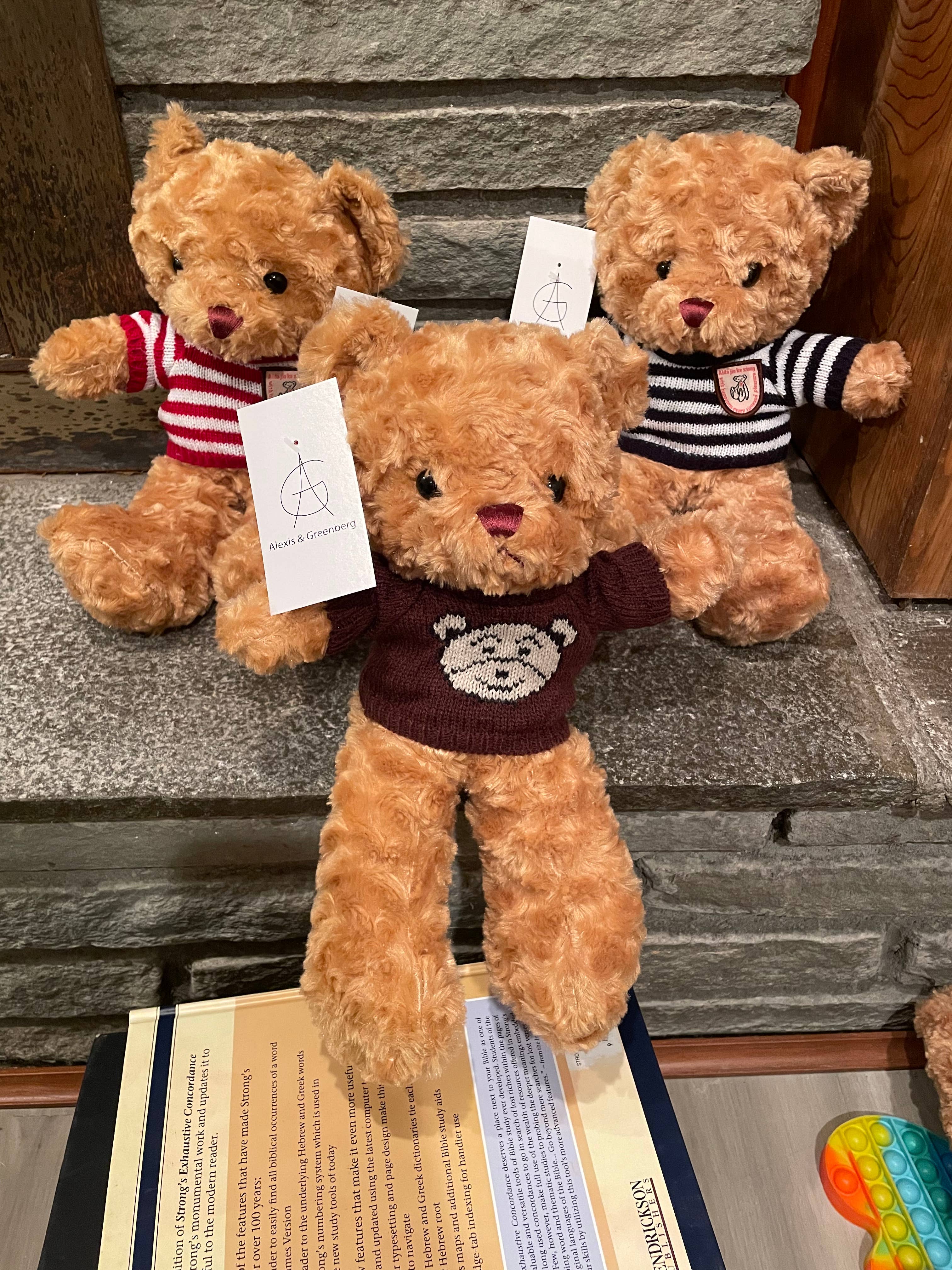 AlexisandGreenberg – Engroshandel Fidget - Børn – Fidget Plush Sensory Bear Fidget hjerte legetøj eller gave 14 tommer11