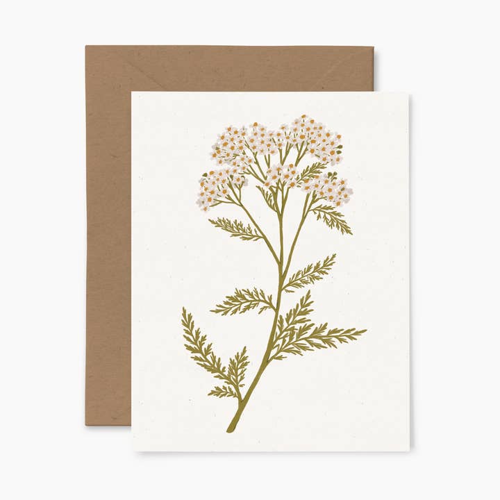 Papier Fleuri Co. - Wholesale Everyday Greeting Card - Yarrow | Greeting Card0