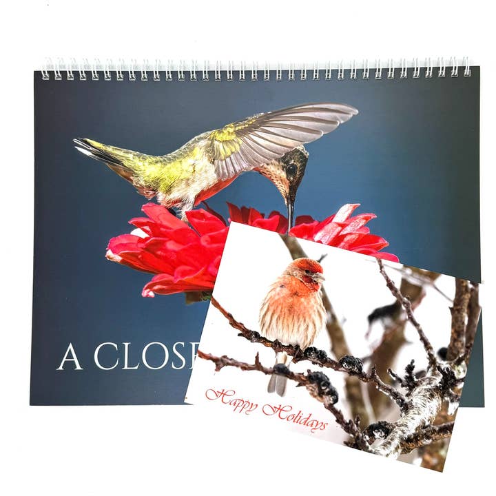 Wren - Wholesale Christmas Card - Holiday card, House Finch on Icy Branch2