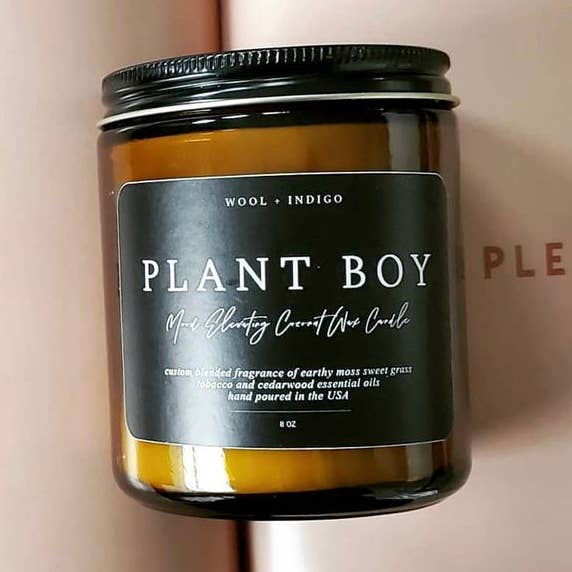 Vela Plant Boy para venta al por mayor de Wool & Indigo