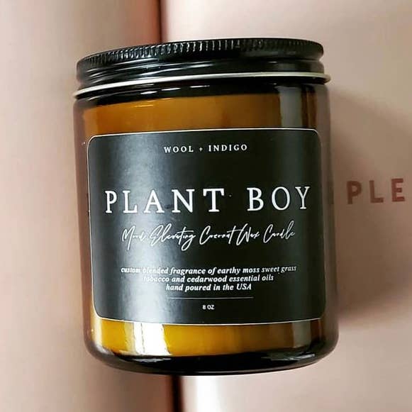 Candela Plant Boy per la vendita all'ingrosso da parte di Wool & Indigo