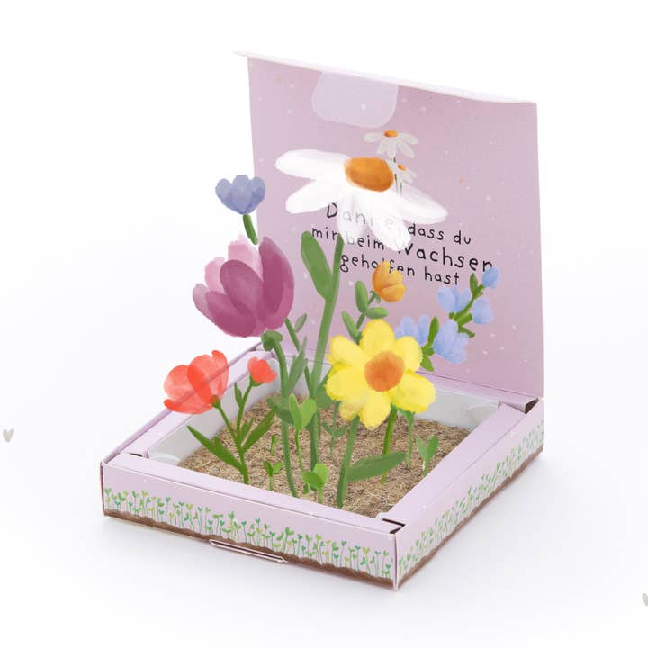 Plantekasser - Tak vokse for engroshandel hos TDJ Stadtgärtner GmbH