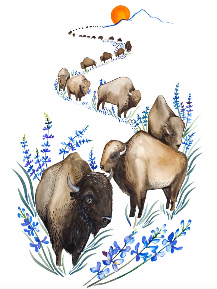 Lámina artística en acuarela Buffalo para venta al por mayor de McKella Jo