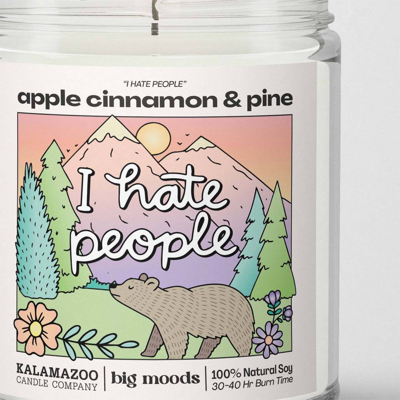 Big Moods - Wholesale Jar/Filled Candle - "I Hate People" Apple Cinnamon & Pine -  Luxury Soy Candle1