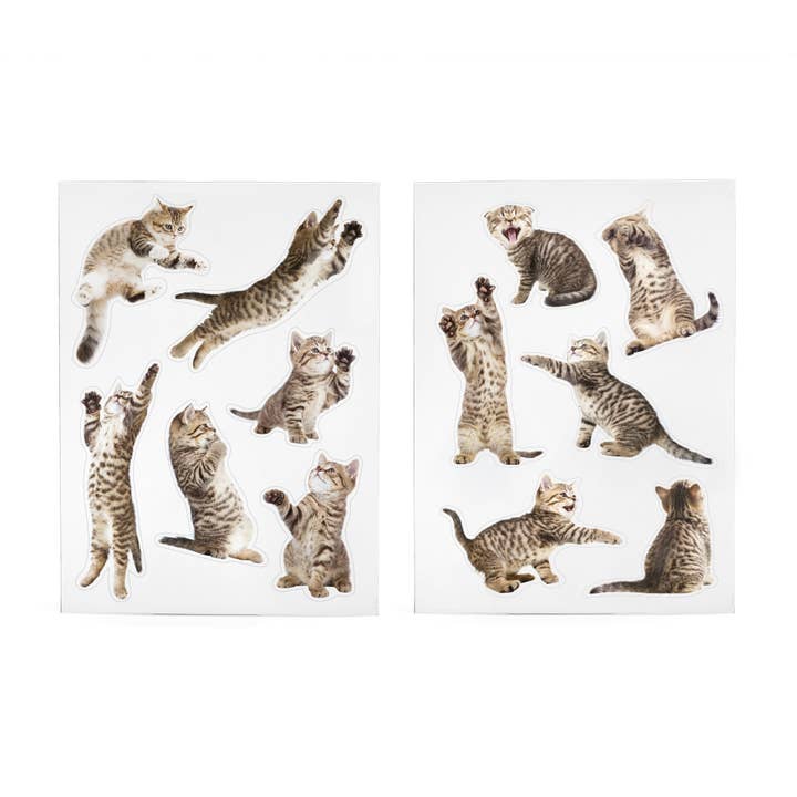 Mustard - Wholesale Magnet - Action Cat Magnets4