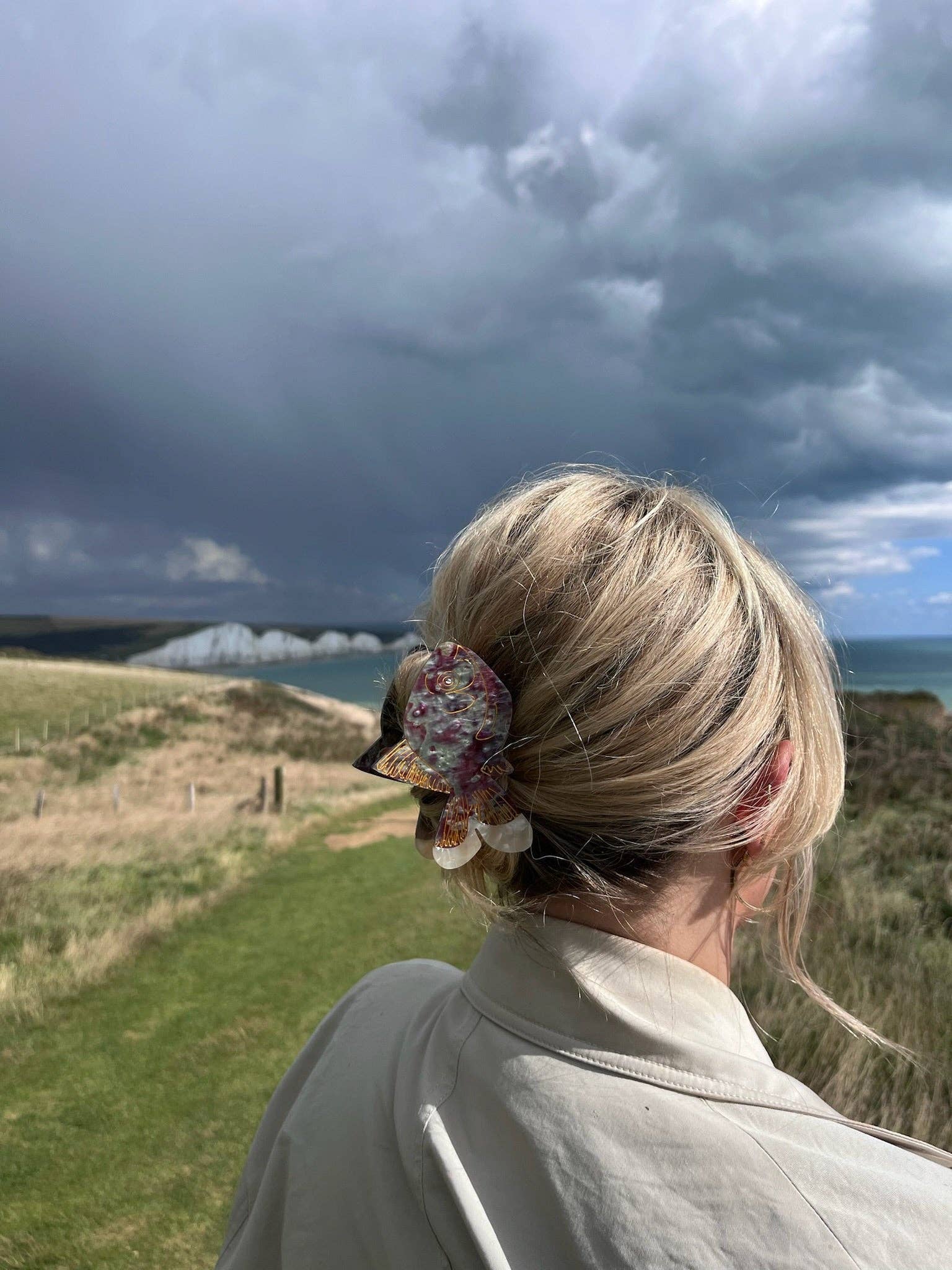 Solar Eclipse - Wholesale Hair Clip - Women's - Hand-painted Goldfish Claw Hair Clip | Eco-Friendly5